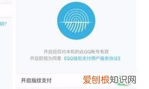 如何开启QQ指纹支付功能