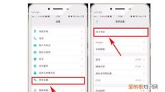 vivo手机开发者模式怎么开