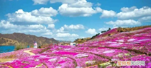 河北雨花谷几月最好看呢，迁西雨花谷什么时候去合适