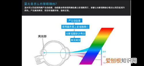 眼镜防蓝光是什么意思，眼镜174防蓝光什么意思