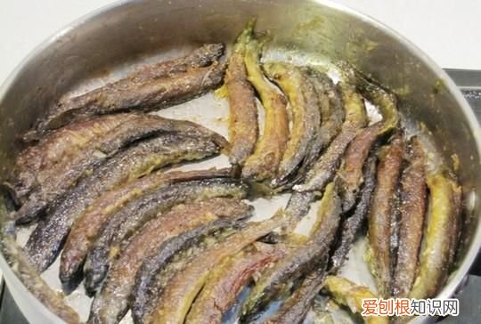 海泥鳅鱼的做法，海竿泥鳅钓鱼怎么挂钩