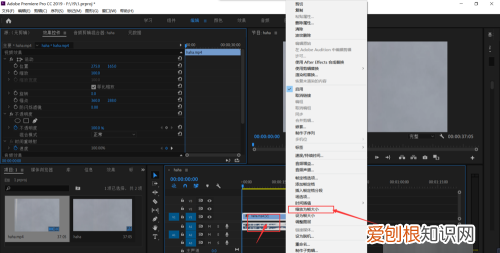 pr怎么设置尺寸，pr怎么改变尺寸大小