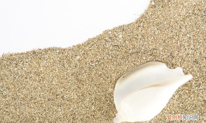 海沙的用途