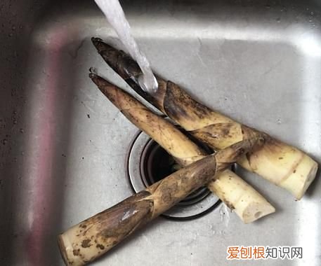 油焖笋要焯水