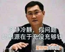 中国斗鱼怎么养才漂亮