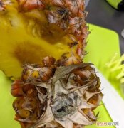 怎么看菠萝有没有黑心，菠萝削皮后怎么看还能不能吃