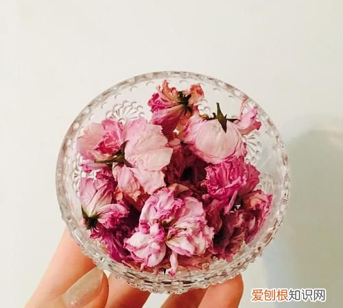 樱花可以泡水,樱花泡水喝的功效与作用