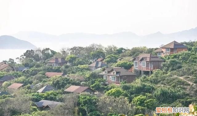 深圳10个海边沙滩超好玩