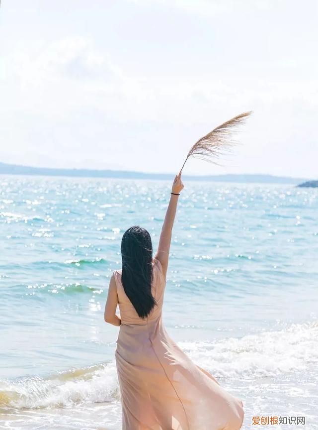 深圳10个海边沙滩超好玩