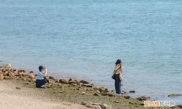 深圳10个海边沙滩超好玩