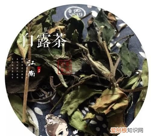 白露茶的功效与作用