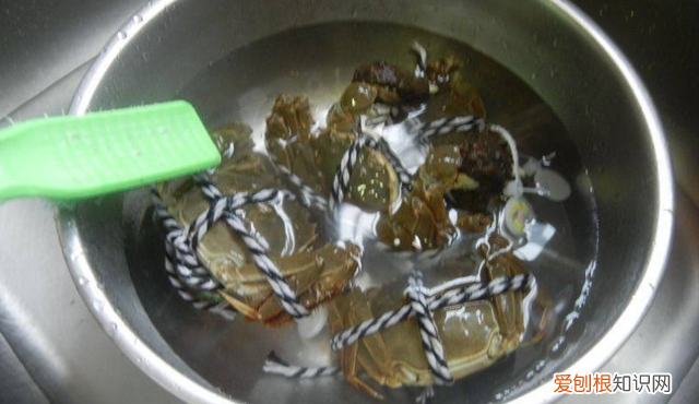 蒸大闸蟹正确方法蒸几分钟可以吃