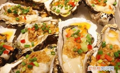 生蚝能多吃了会怎样,玄凤雏鸟吃多了会撑死