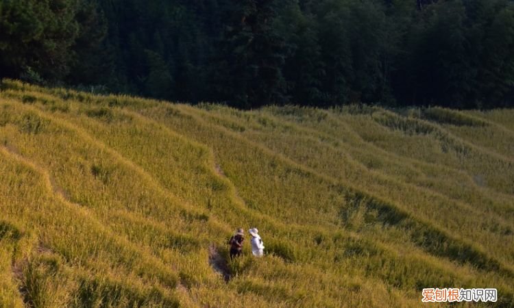 十月一去哪里旅游好玩