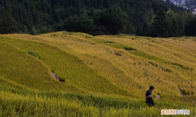 十月一去哪里旅游好玩