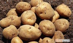 发芽的土豆怎么处理可以吃，发芽的土豆可以吃吗有没有毒