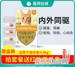 拜耳猫用驱虫药说明书图片，猫拜耳驱虫药多长时间吃一次