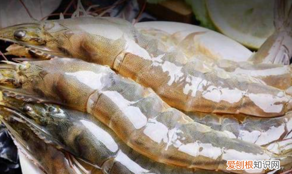 开背虾的家常做法，蒜蓉大虾开背的做法