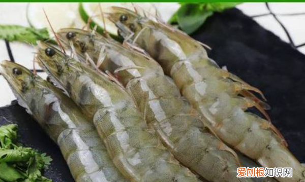 开背虾的家常做法，蒜蓉大虾开背的做法