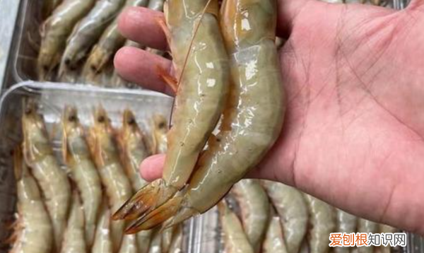 开背虾的家常做法，蒜蓉大虾开背的做法