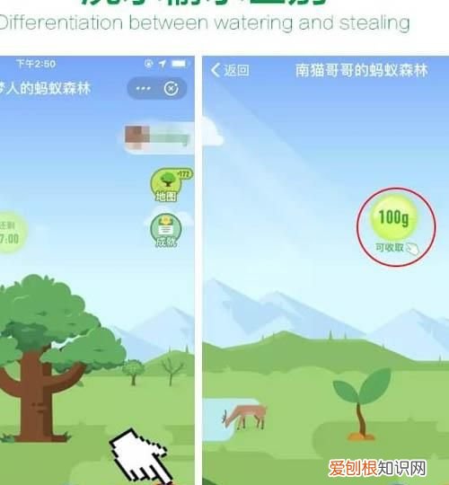 蚂蚁森林咋滴才能浇水,蚂蚁森林公益林浇水有什么用