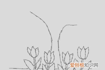 漂亮的小花怎么画