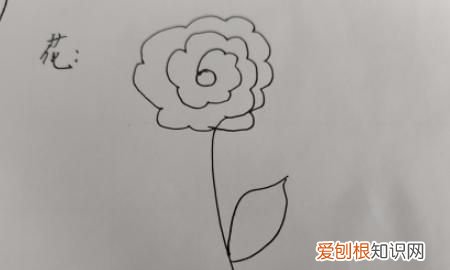 漂亮的小花怎么画