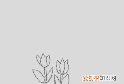 漂亮的小花怎么画