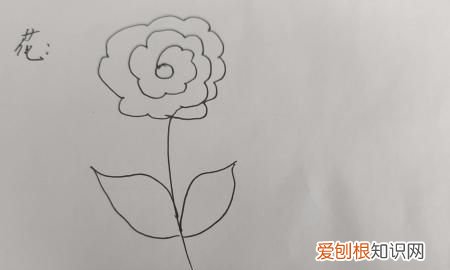 漂亮的小花怎么画
