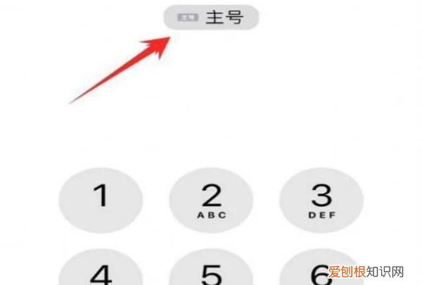 苹果2双卡怎么切换打电话