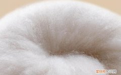 羊绒蛋白纤维是什么，羊毛蛋白纤维是什么