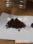 咖啡豆怎么磨成粉