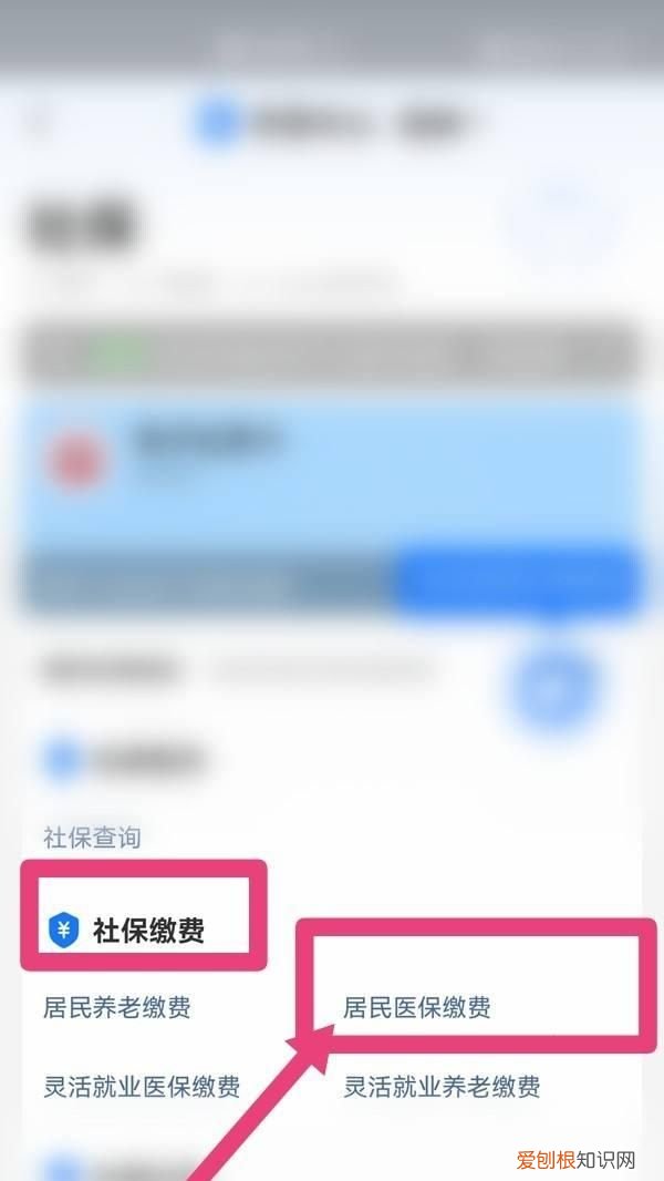 支付宝医保缴费流程，支付宝怎么交医保缴费