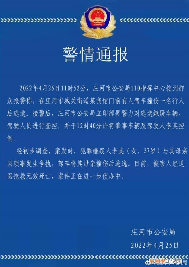 什么原因导致女子驾车撞死母亲后逃逸，肇事女子已被警方控制