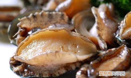 如何判断鲍鱼是否死掉，川湘菜死鲍鱼做法死了三四天了咋做好吃