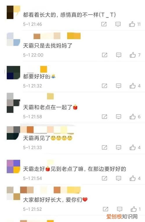 天霸走了是什么意思