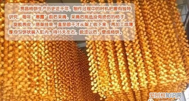 文“话”陇南︱天凉咧，撕一个泛红透亮、柿霜洁白的柿饼吃吧～～