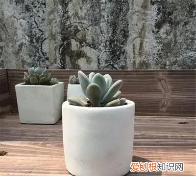 水泥做工艺品教程，如何制作水泥diy工艺品