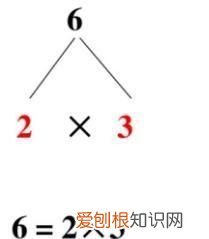 36分解质因数是什么,36分解质因数是多少