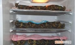 螃蟹能放冰箱保存，螃蟹需要放在冰箱里吗