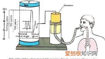 测肺活量的仪器叫什么