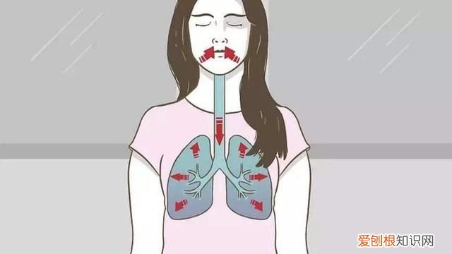 测肺活量的仪器叫什么