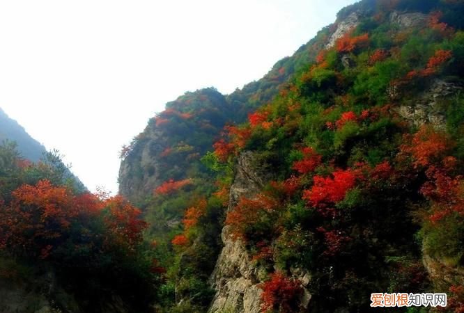 秦岭旅游景点有哪些，秦岭最美十大景点 有时间都要去一遍吗