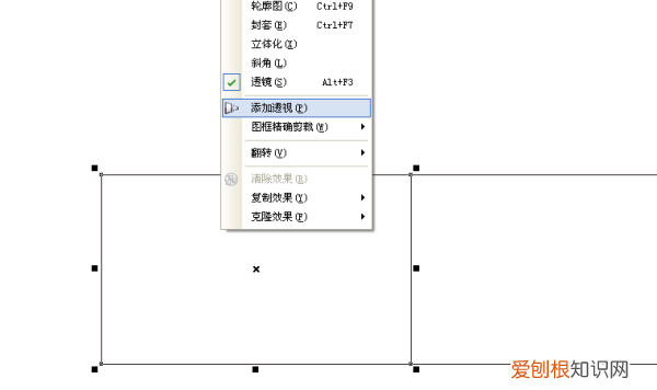 cdr倒影怎么做，cdr做图片的投影