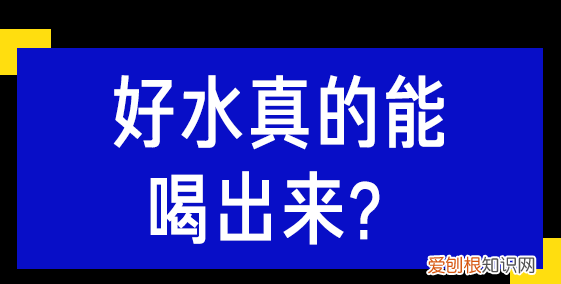 斐济矿泉水为什么这么贵？评测6款网红矿泉水