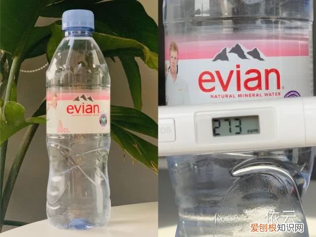 斐济矿泉水为什么这么贵？评测6款网红矿泉水