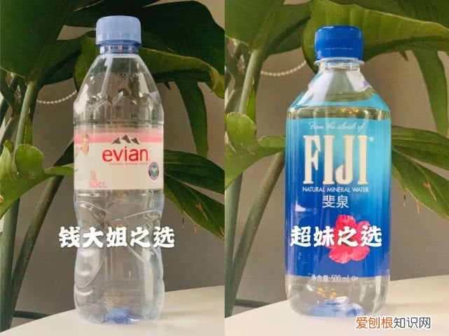 斐济矿泉水为什么这么贵？评测6款网红矿泉水