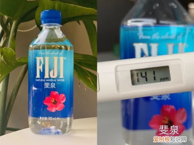 斐济矿泉水为什么这么贵？评测6款网红矿泉水