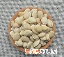 炒白扁豆怎么吃，炒白扁豆可以和薏仁芡实一起煮来吃