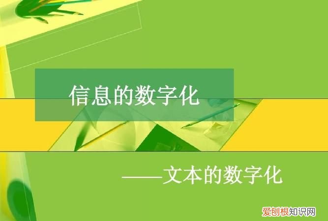 信息的数字化什么意思，乡村数字化是什么意思